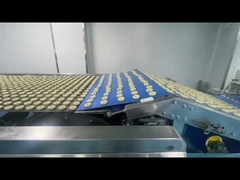 खाद्य उद्योग के लिए स्टील बेल्ट ओवन